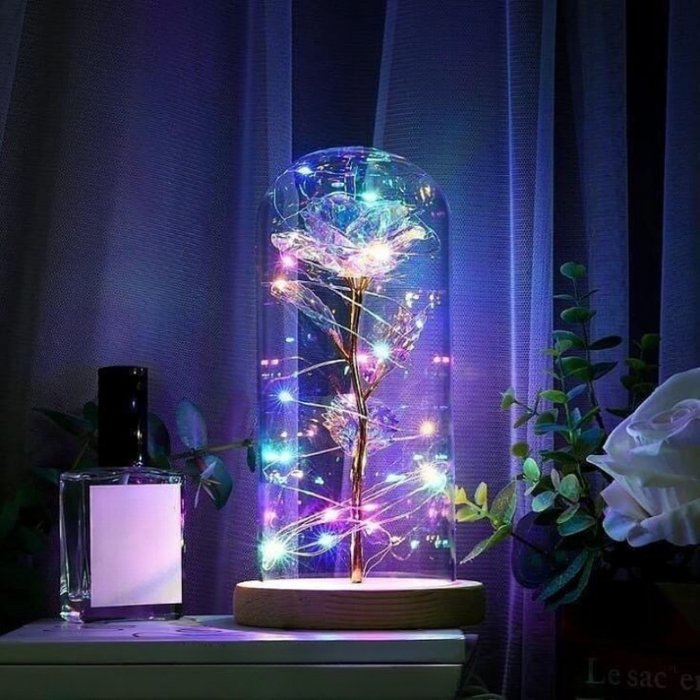Galaxy Rose Enchanted