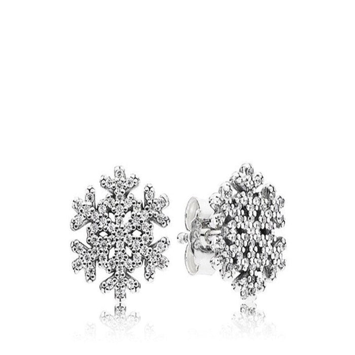 Sterling Silver Sparkling Classic Earrings